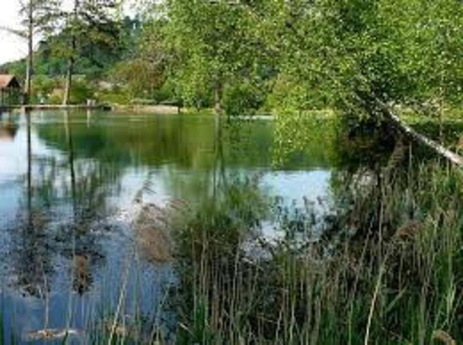 Studio Cosy Au Coeur De La Nature Gorze المظهر الخارجي الصورة